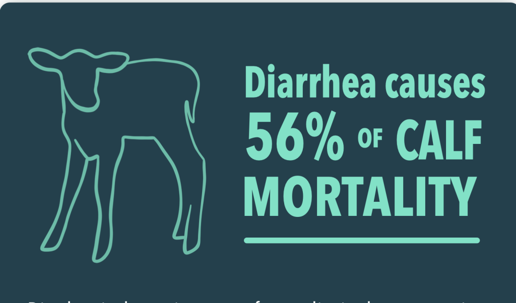 Dairy Digest Dystocia & Diarrhea Resources ACER Consulting